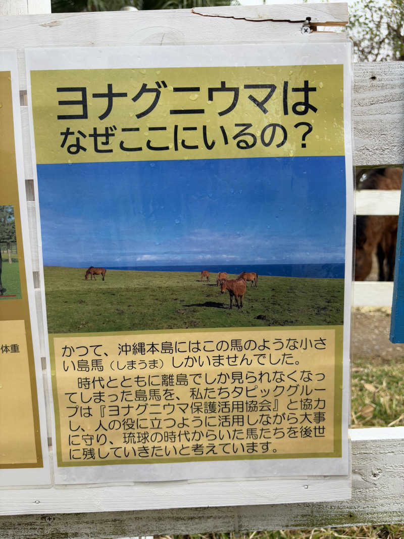 sayakocciさんの猿人の湯 (ユインチホテル南城)のサ活写真