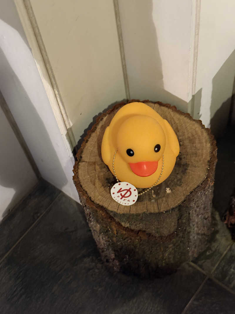 sayakocciさんのOYUGIWA海老名のサ活写真