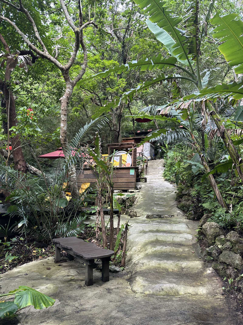 ワンワンさんの亜熱帯サウナのサ活写真