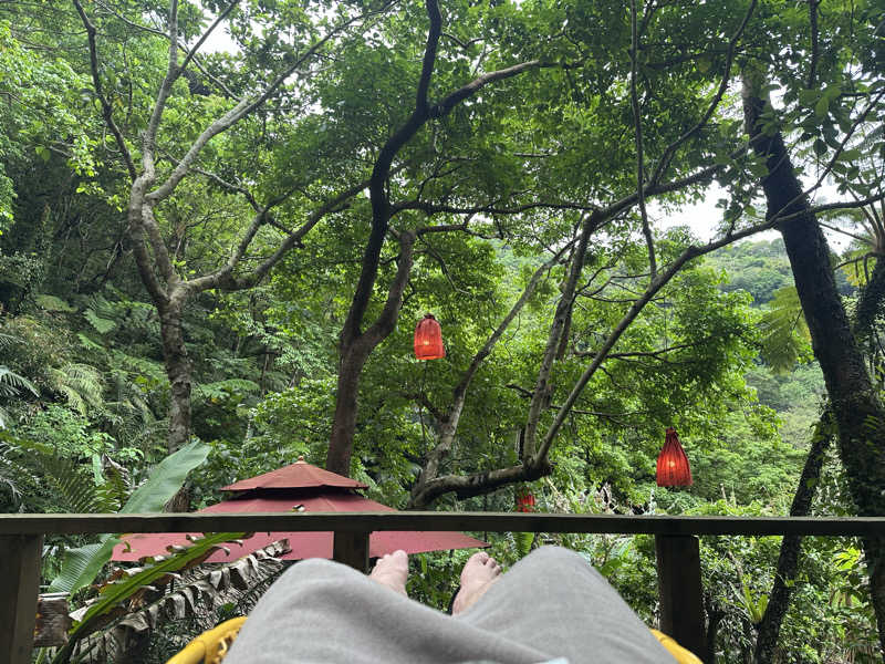 ワンワンさんの亜熱帯サウナのサ活写真