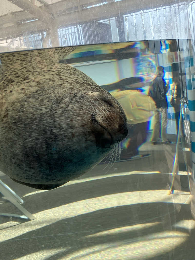 じゃんぼ🧌さんの越のゆ 鯖江店のサ活写真