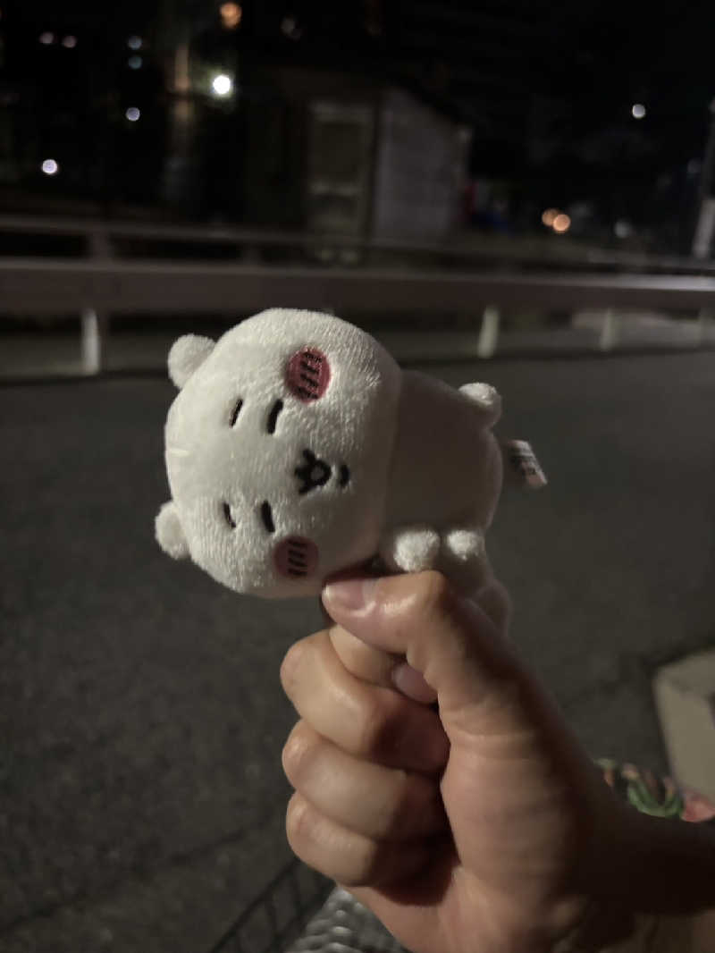 ちーかまさんのヘルシー温泉タテバのサ活写真