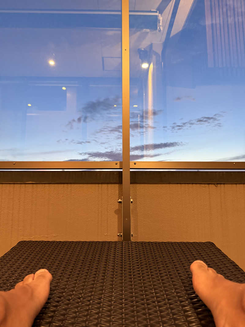 犬さんの豊田挙母温泉 おいでんの湯のサ活写真