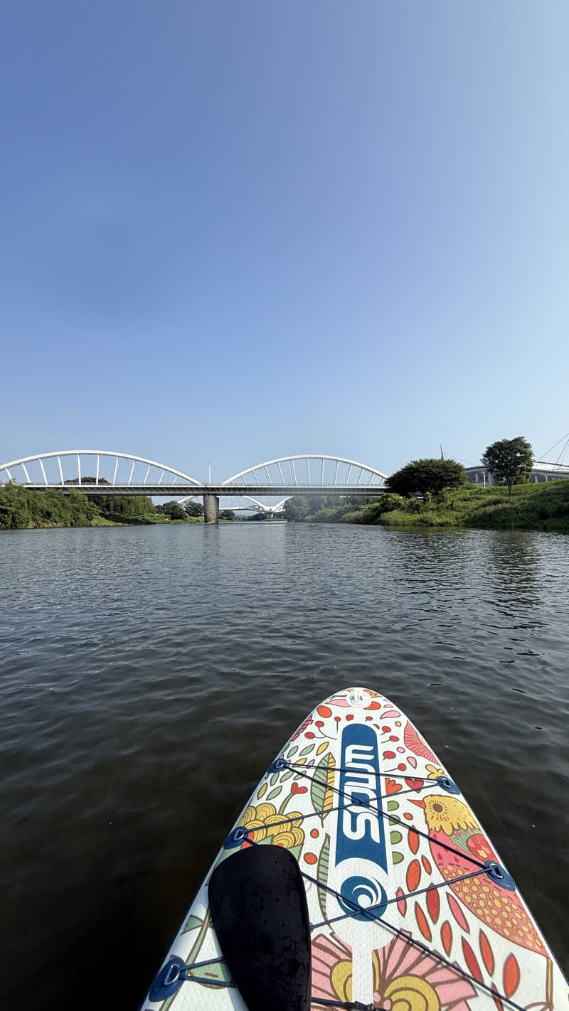 犬さんの豊田挙母温泉 おいでんの湯のサ活写真