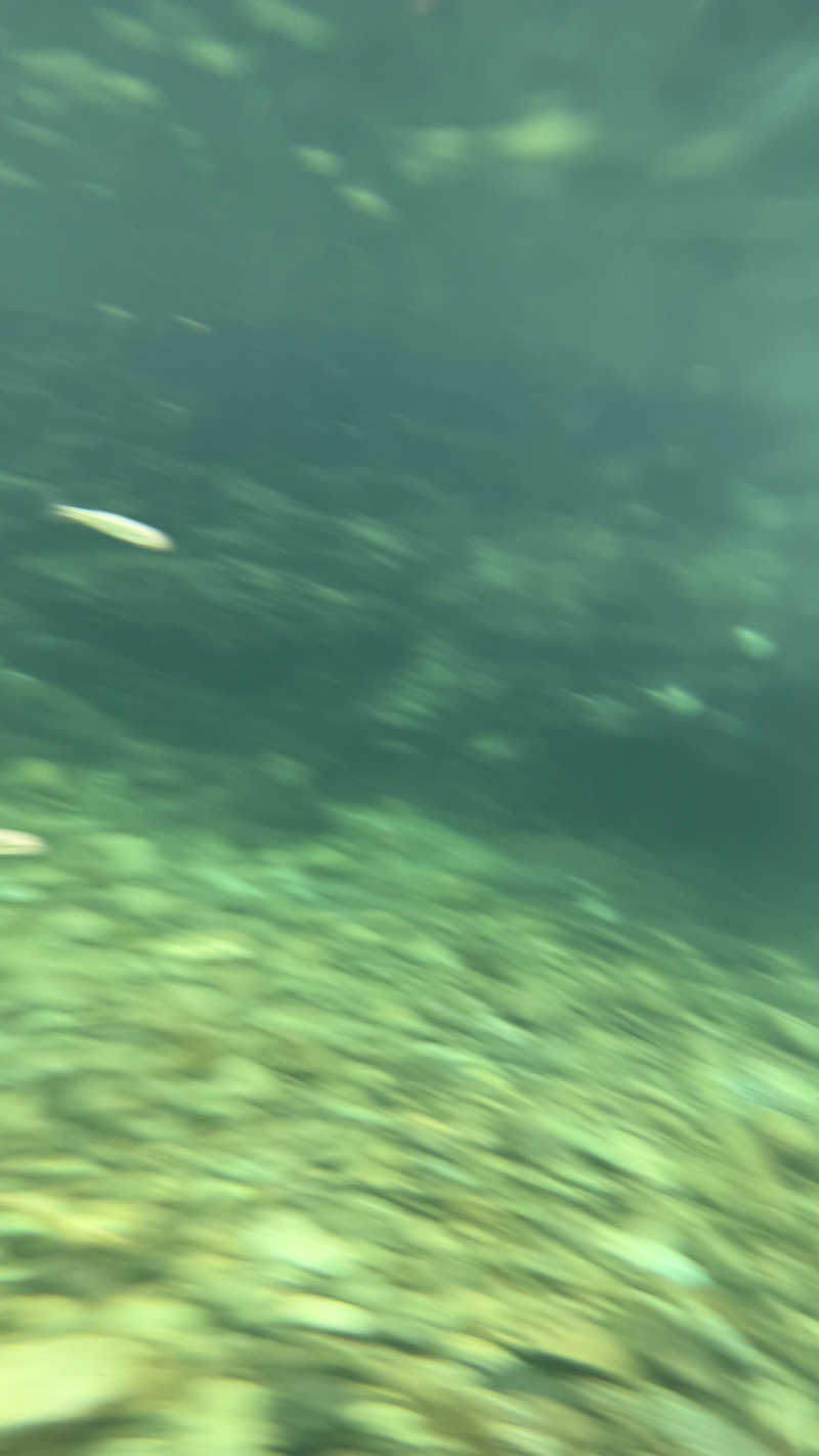 犬さんのサウナ天竜のサ活写真