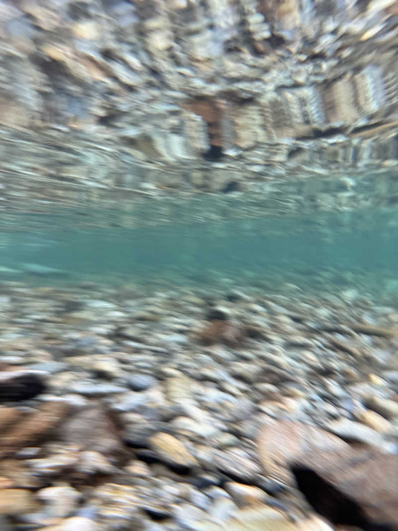 犬さんのサウナ天竜のサ活写真