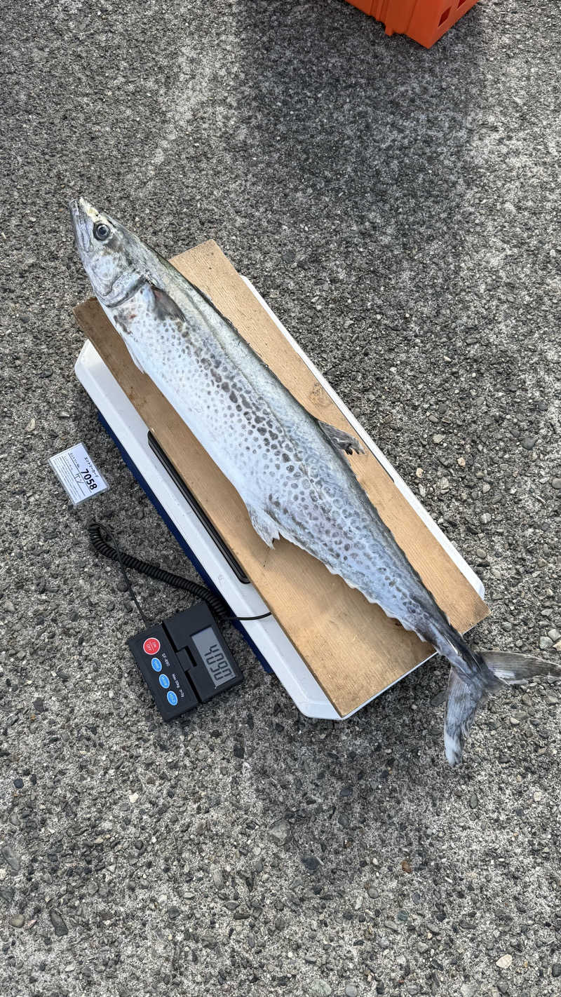 犬さんのサウナ&カプセル フジのサ活写真