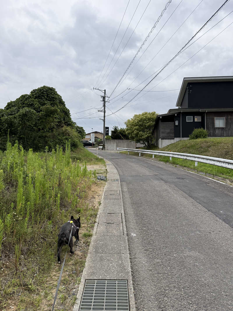犬さんのSAUNA BUG | 感覚が"バグる"異次元のサウナのサ活写真