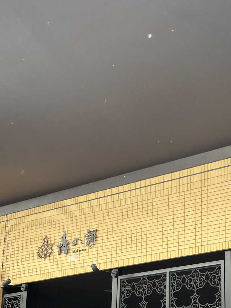 みっちさんの定山渓 鶴雅リゾートスパ 森の謌のサ活写真