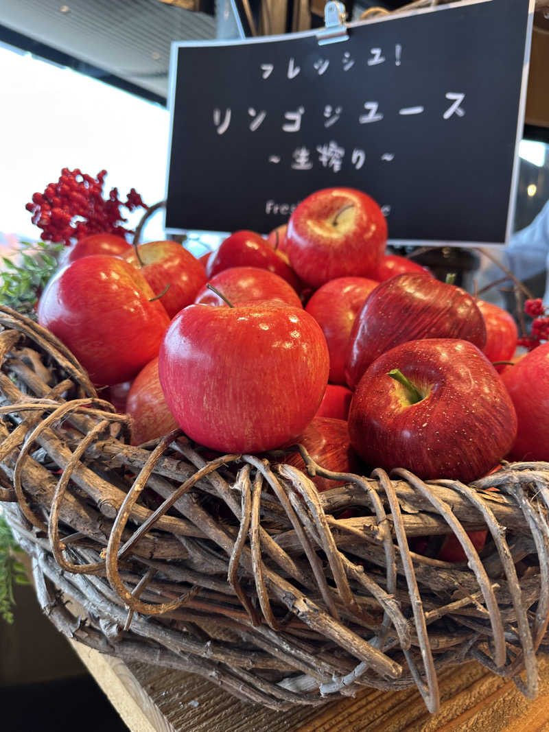 みっちさんのザレイクビューTOYA乃の風リゾートのサ活写真