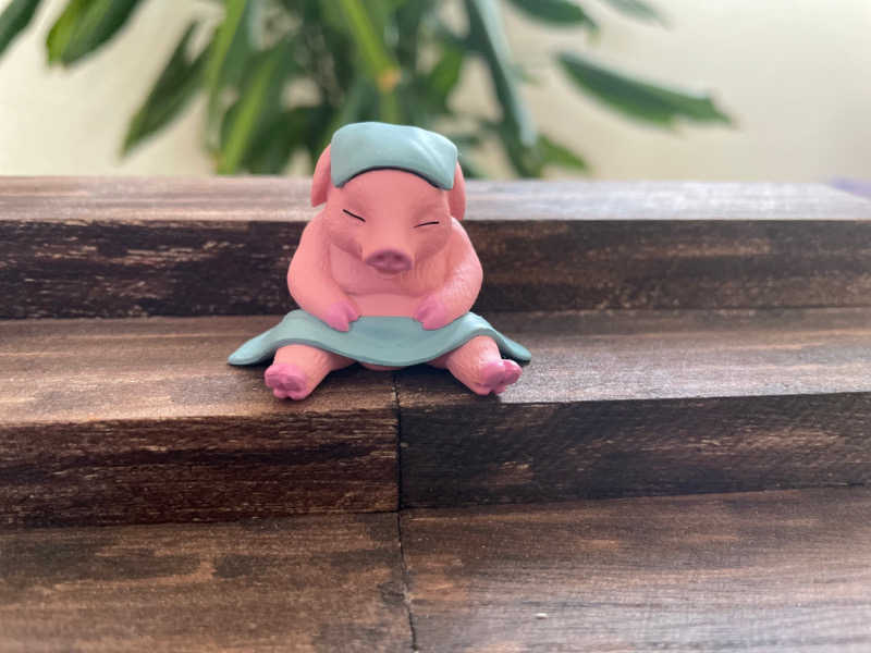 tkさんのみどり楽の湯のサ活写真