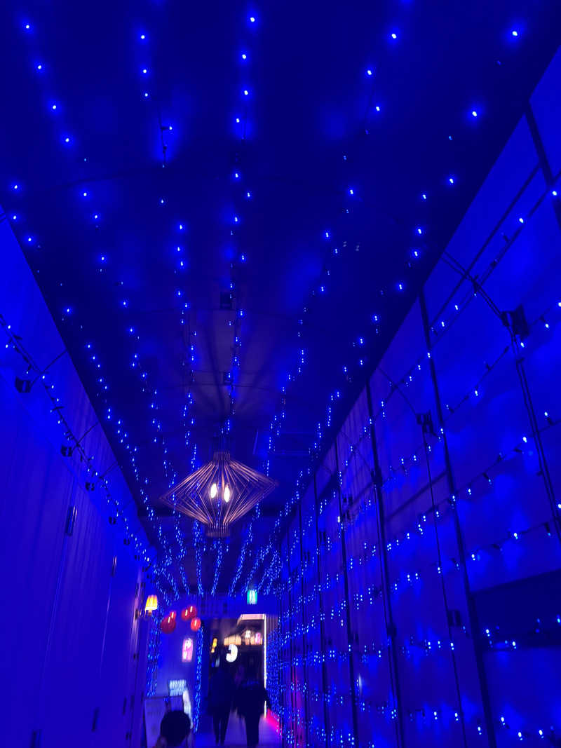 ぺーさんの温泉バルコニー キング&クイーンのサ活写真