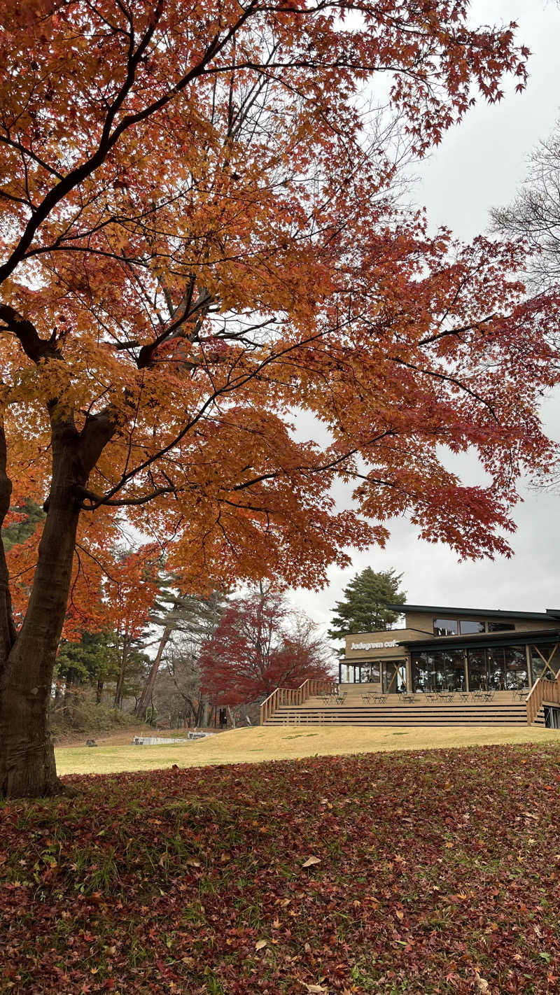 サヌーさんのSauna & Spa Green サウナ&スパ グリーン～愛宕山温泉～のサ活写真