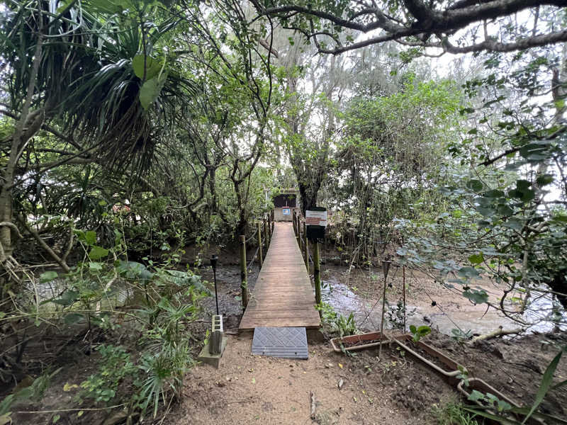 海香さんのCafe&Bar Sazanamiのサ活写真