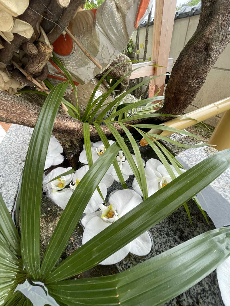 さうながっぱさんのSAUNA RESORT 天光の湯のサ活写真