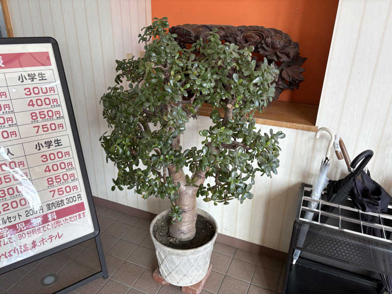 ラブトラさんのひばり温泉のサ活写真