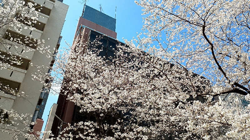 つよきさんの渋谷SAUNASのサ活写真