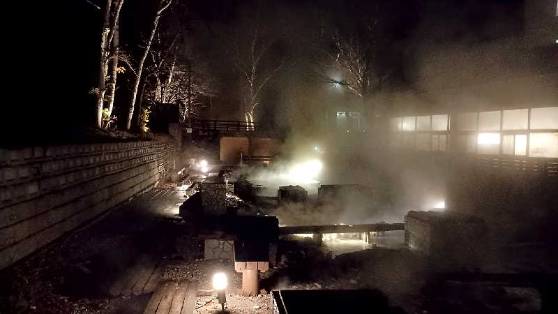 つよきさんのお宿欣喜湯 別邸 忍冬(SUIKAZURA)のサ活写真