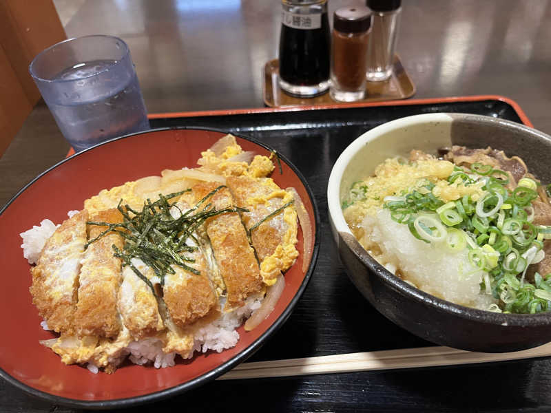 よこよこさんの瀬戸大橋四国健康村のサ活写真
