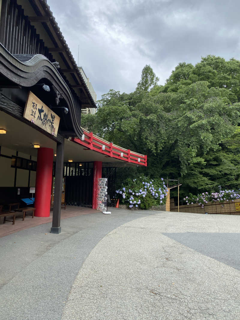 愛子さんの有馬温泉 太閤の湯のサ活写真