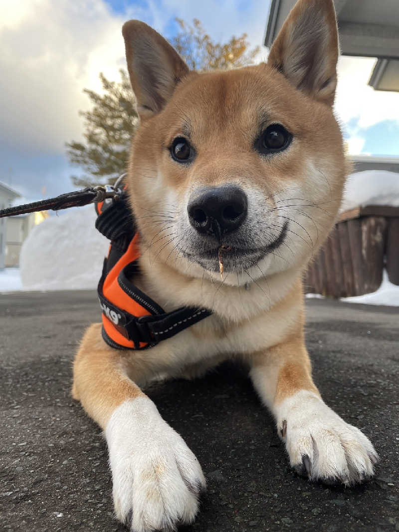 たくちゃんさんのおけと勝山温泉ゆぅゆのサ活写真