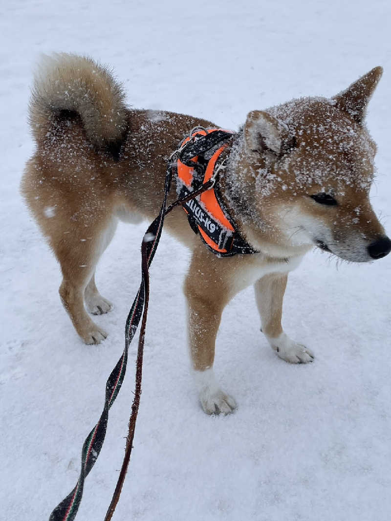 たくちゃんさんの天然温泉&メンズサウナ 若松の湯(北見ピアソンホテル)のサ活写真