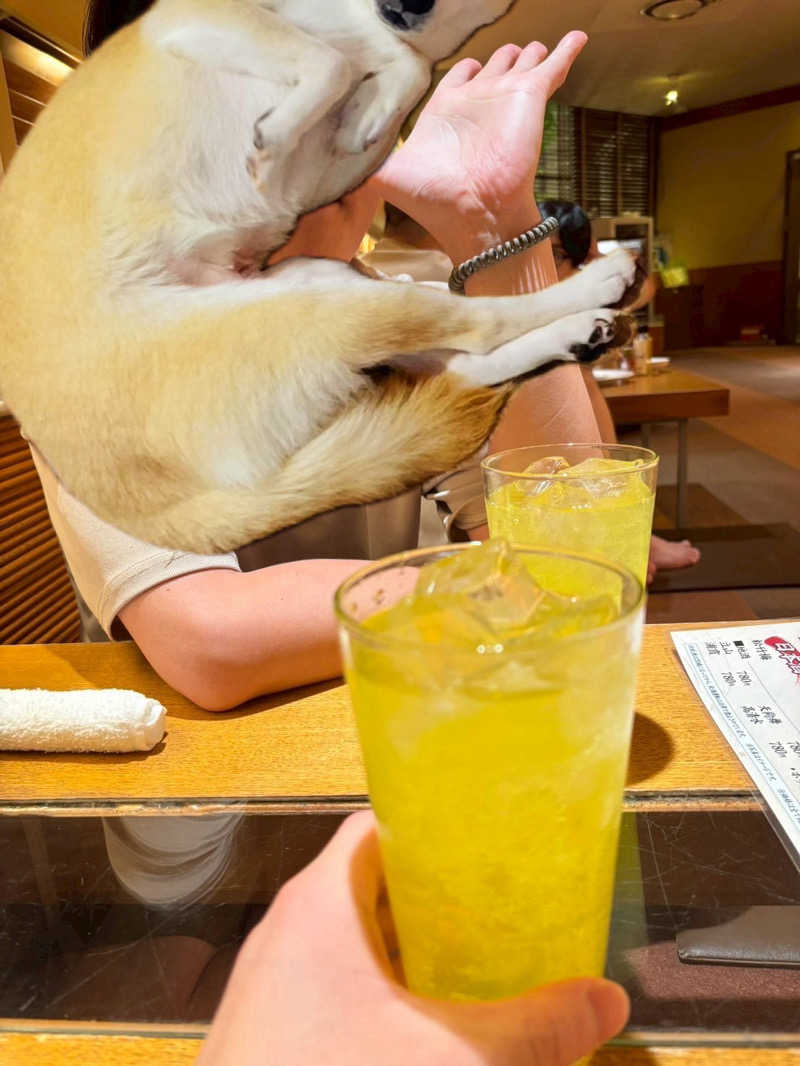 モチさんのサウナ&カプセルホテル 北欧のサ活写真