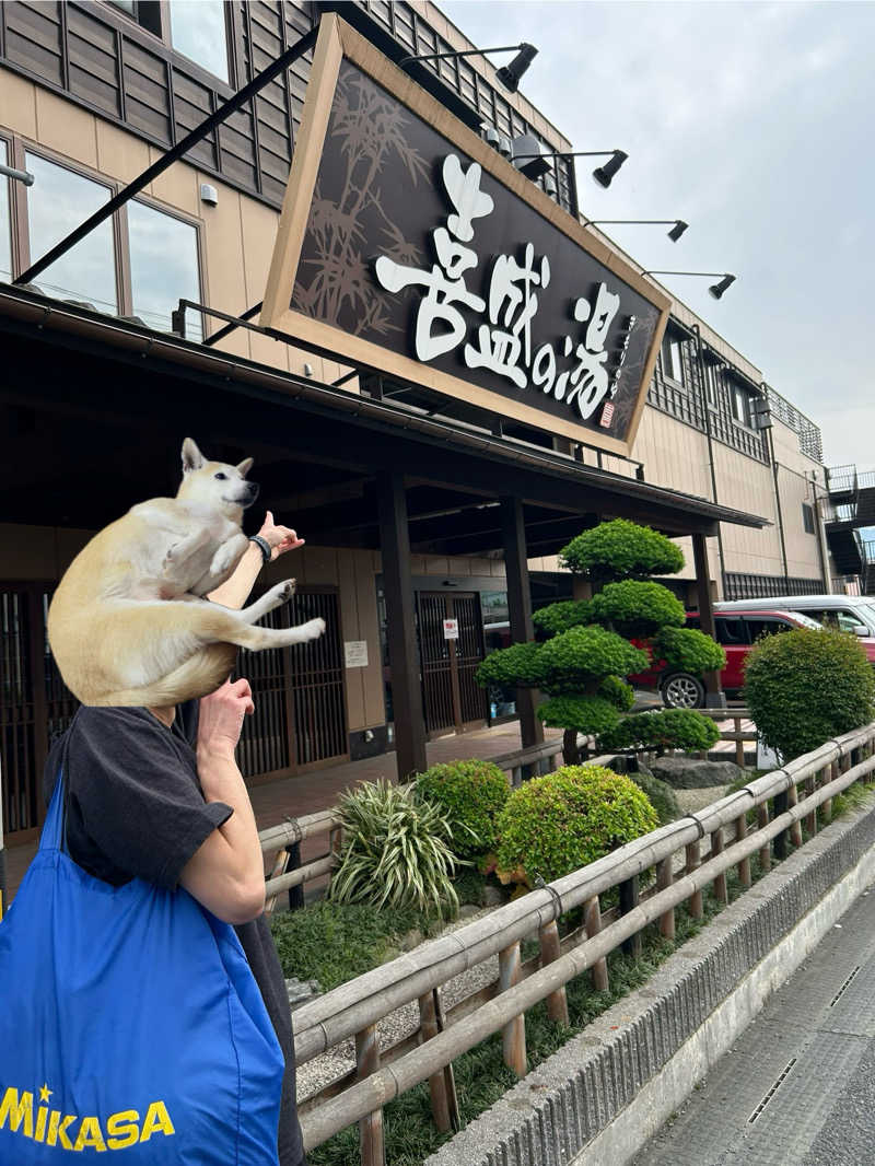 モチさんの喜盛の湯のサ活写真