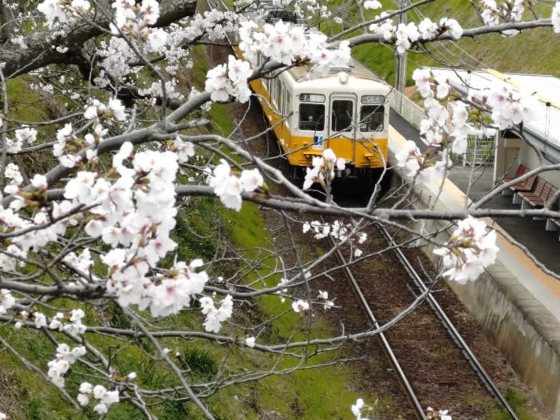 じょんさんのかざし温泉のサ活写真