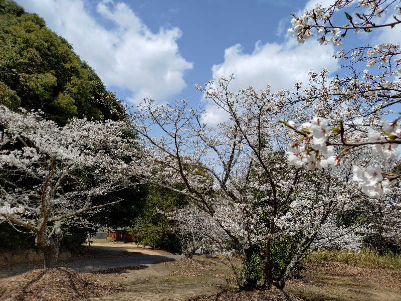 じょんさんのかざし温泉のサ活写真