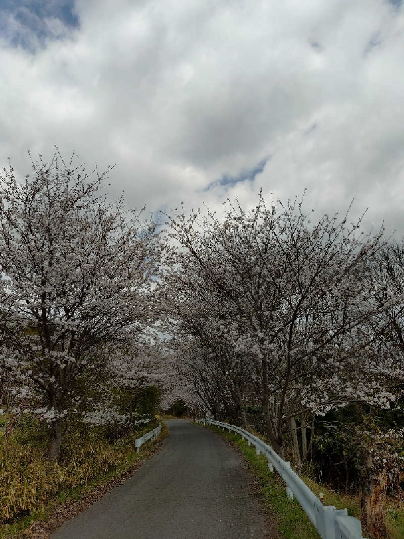 じょんさんのかざし温泉のサ活写真