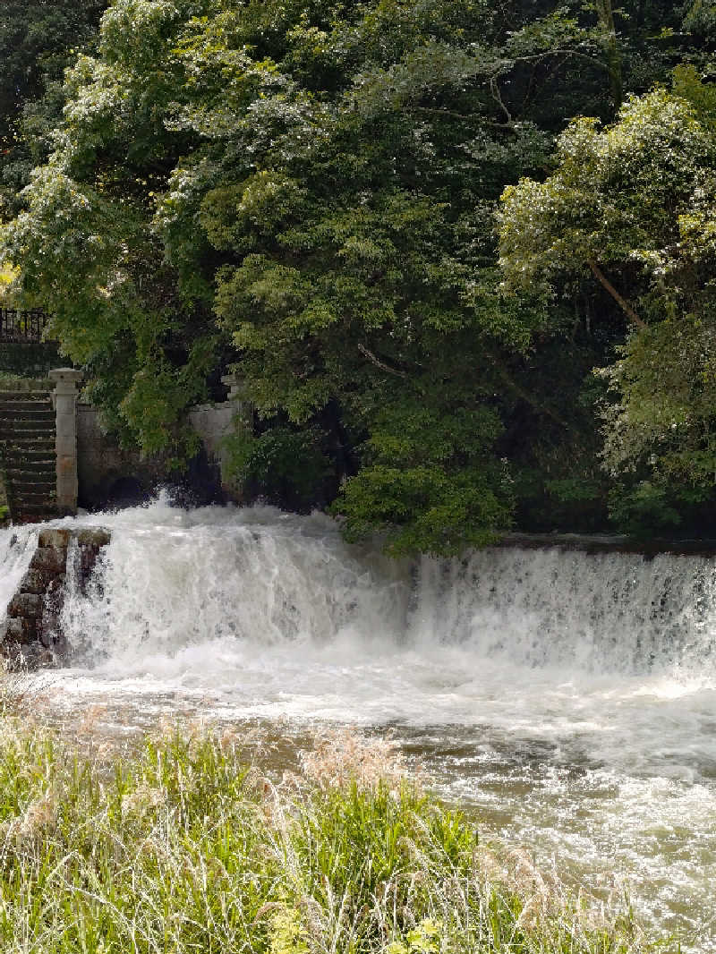 じょんさんのエピアみかどのサ活写真