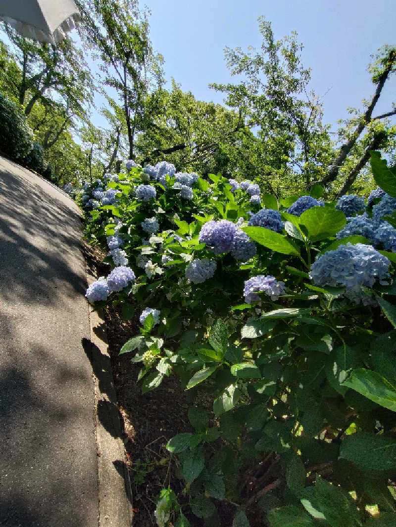 じょんさんのおおのはら 萩の湯のサ活写真