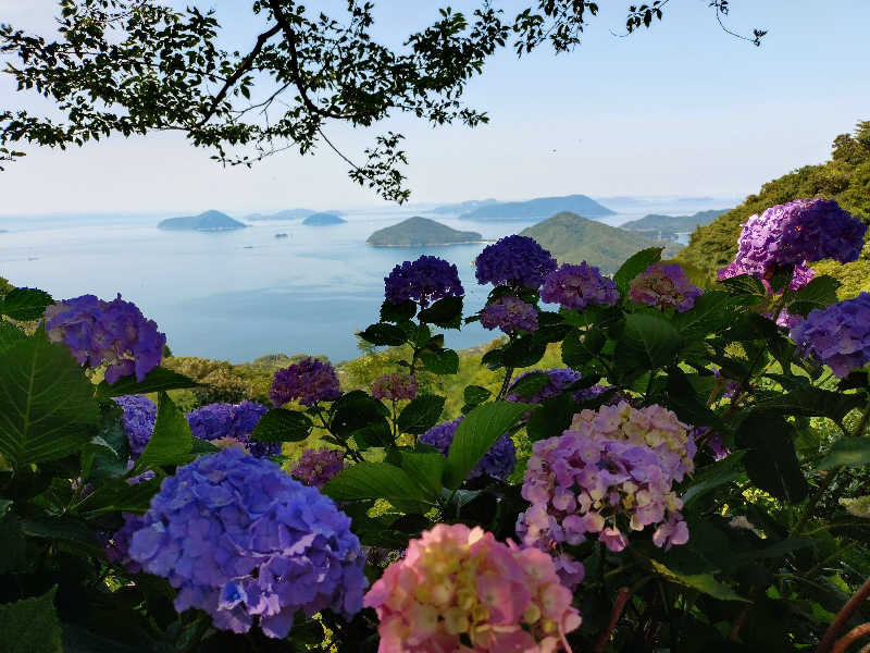 じょんさんのおおのはら 萩の湯のサ活写真