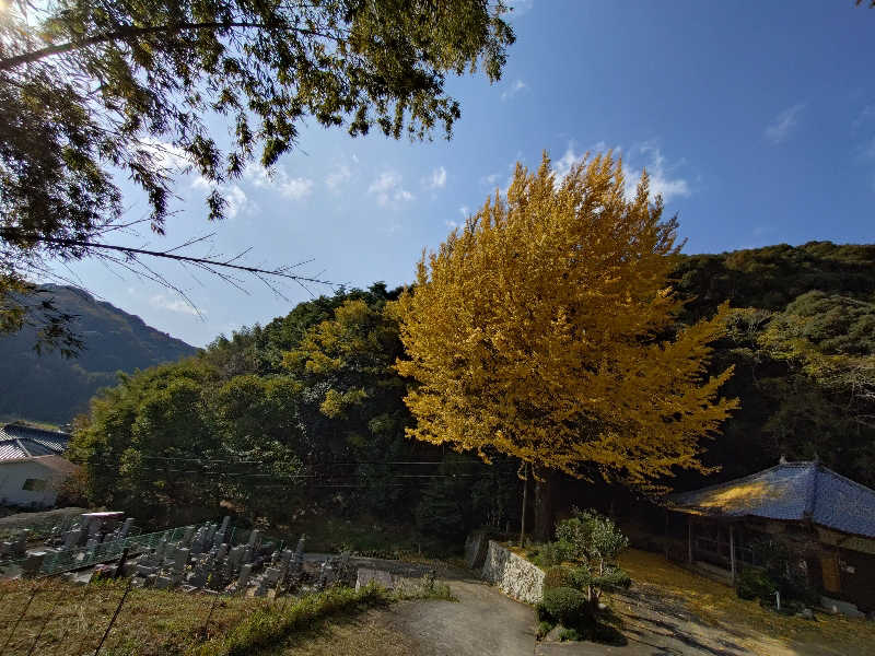 じょんさんのたかせ天然温泉のサ活写真