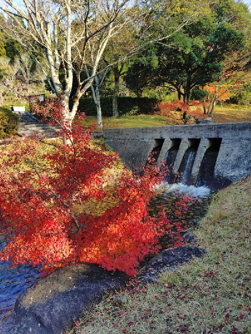 じょんさんのたかせ天然温泉のサ活写真