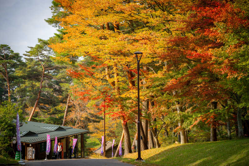 テラさんのSauna & Spa Green サウナ&スパ グリーン～愛宕山温泉～のサ活写真