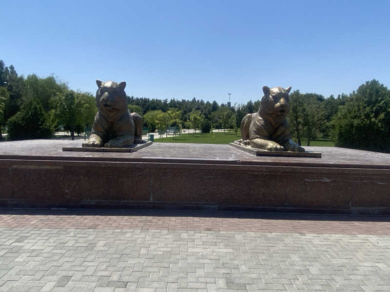 ハスブラさんのMarokand Spa Hotelのサ活写真