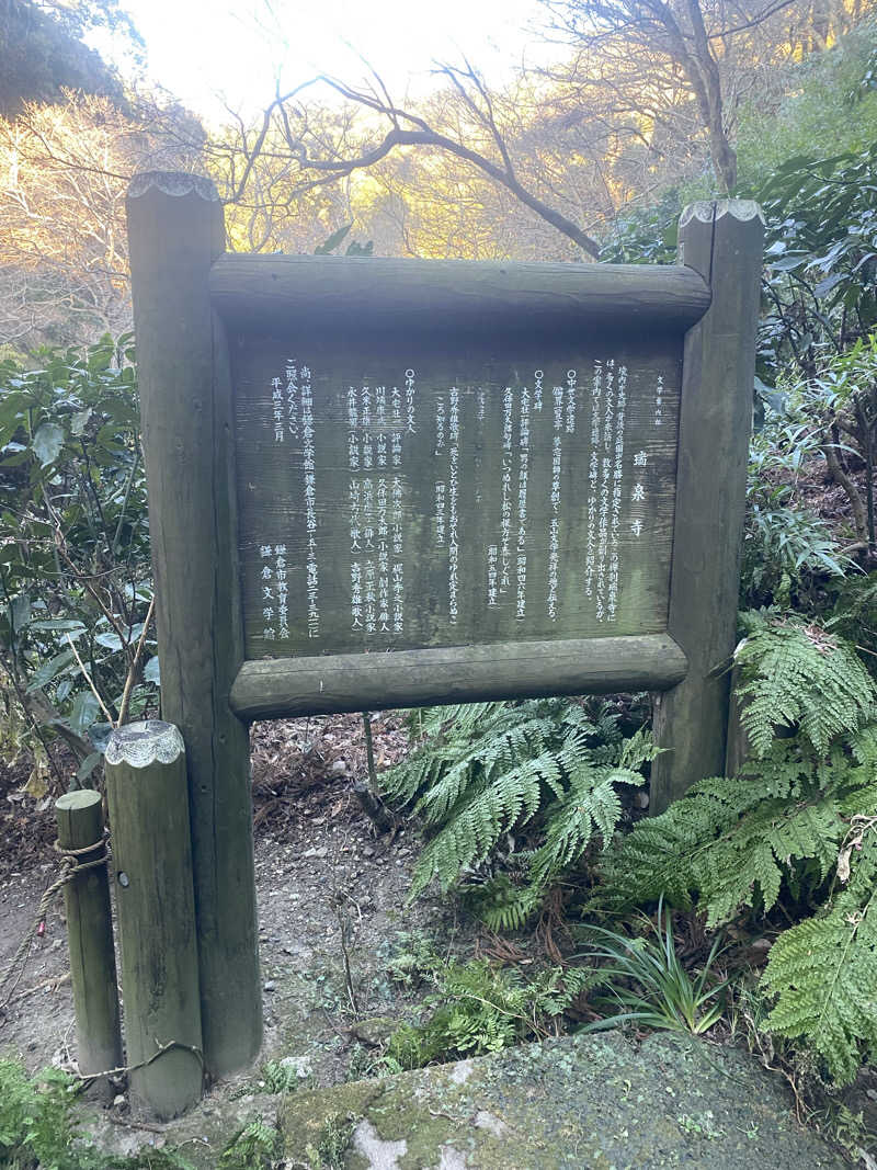 ハスブラさんの亀遊舘のサ活写真