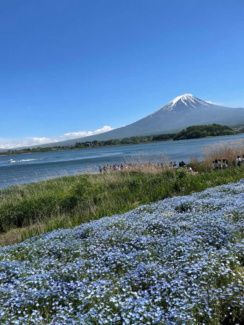 いくさんのラビスタ富士河口湖のサ活写真