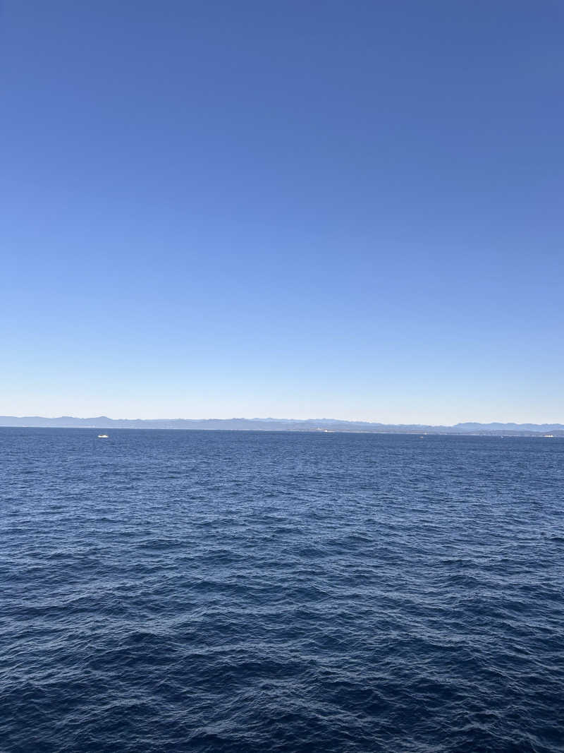 サウナーたかちゃんさんのそれいゆ(東京九州フェリー)のサ活写真