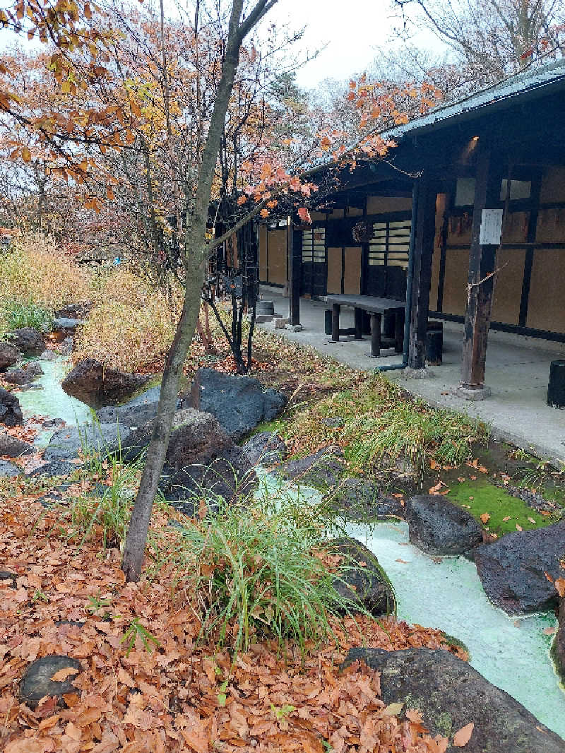 キングスマンさんの寒の地獄旅館のサ活写真