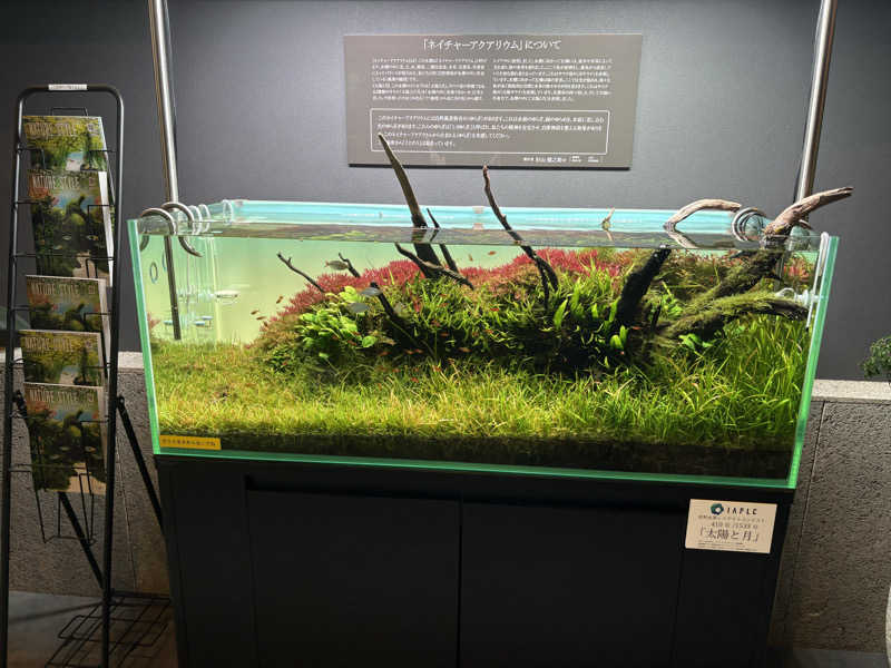 リーチ一発誤ツモさんのSAUNA煌ｰKOUｰのサ活写真