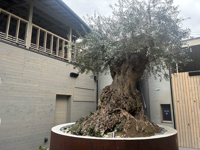 ツーシーさんのsauna kolme kylä (サウナ コルメ キュラ)のサ活写真