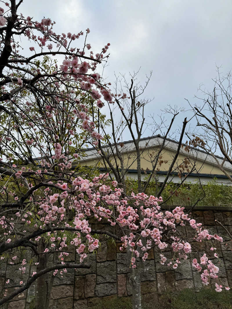 デン丸さんの溝口温泉 喜楽里のサ活写真