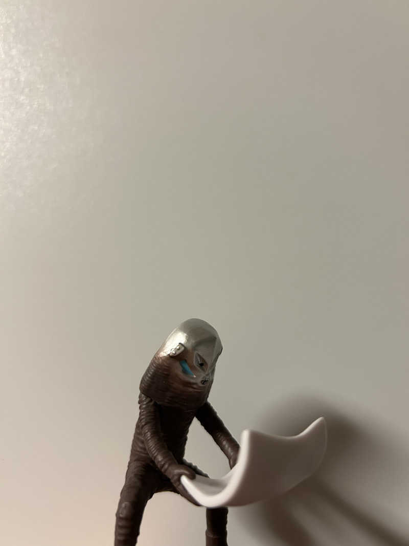 ぐりぽぽさんの天然温泉 コロナの湯 半田店のサ活写真