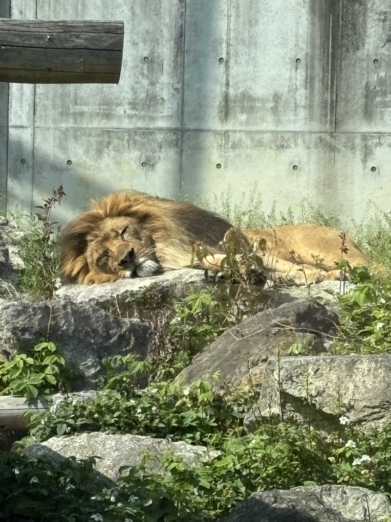 もいごさんのホテルリステル浜名湖のサ活写真
