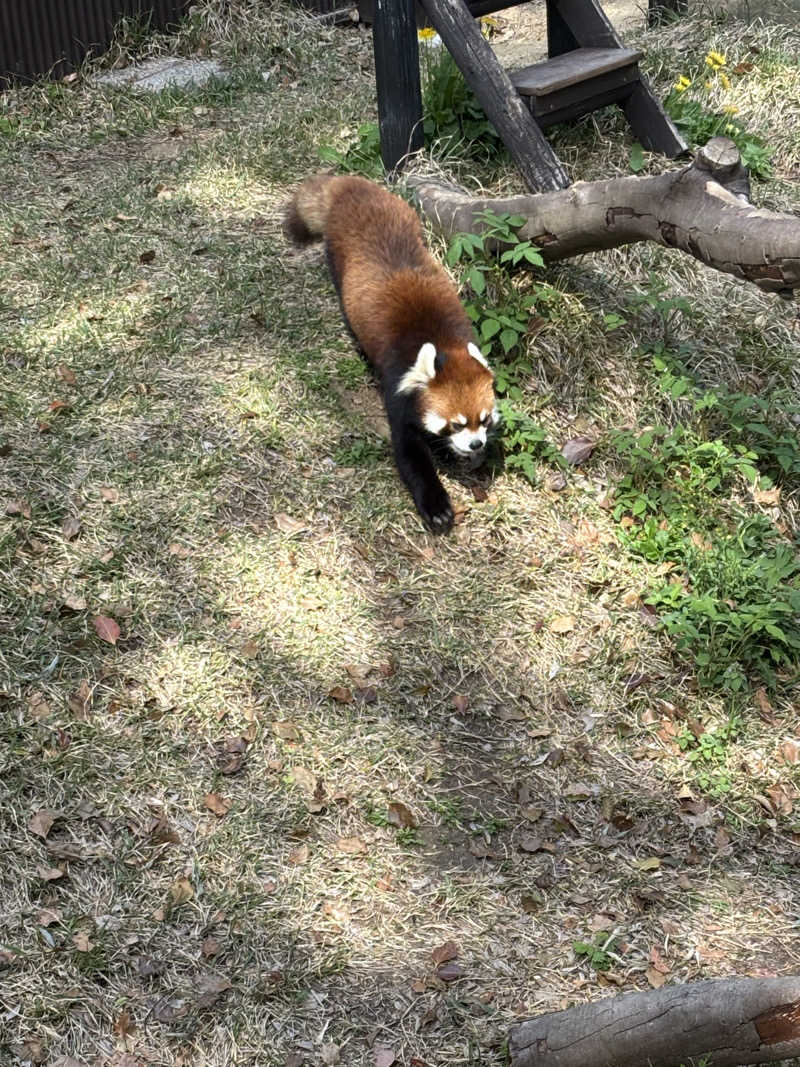もいごさんのホテルリステル浜名湖のサ活写真