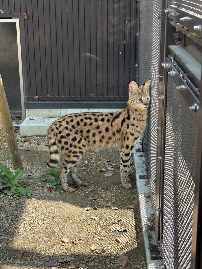 もいごさんのホテルリステル浜名湖のサ活写真
