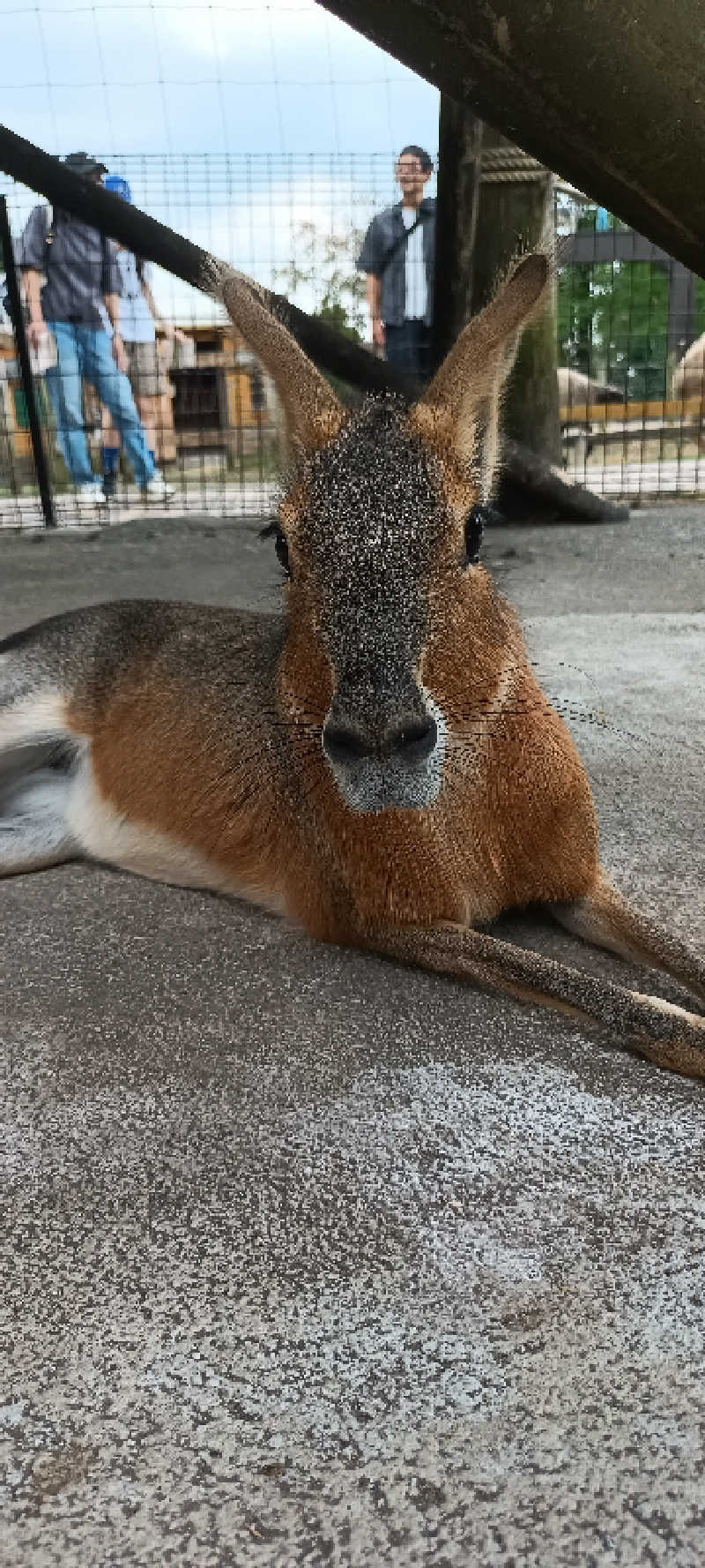 ウルトラマンサウナさんのエキチカ温泉・くろしおのサ活写真